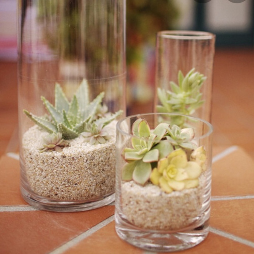 TWO 6”Glass Cylinder Vases -Home, Office, Weddings - Picture 7 of 11